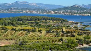 Le château de Jasson et les vignes de La Londe-les-Maures