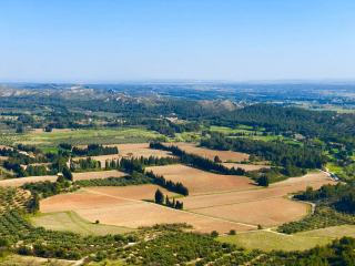 Les vins des Bouches-du-Rhône, des calanques de Cassis aux Alpilles