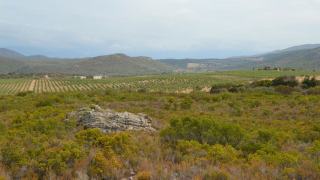 Les trois couleurs des Coteaux Varois et les cuvées repérées dans le guide