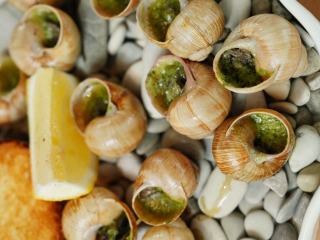 Escargots au beurre persillé : les vins blancs et rosés qui s’accordent
