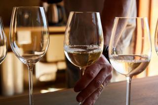 Les vins blancs de Provence, du rolle des Maures aux blancs de garde de Palette