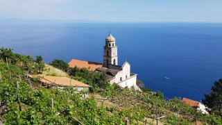 Bandol, l’appellation du mourvèdre sur les restanques face à la mer