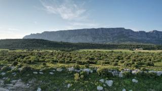 Le château Vignelaure, vignoble d’altitude des Coteaux d’Aix-en-Provence à Rians