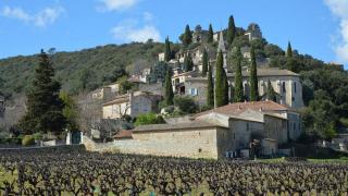 Le domaine de la Croix à La Croix-Valmer, cru classé face au golfe de Cavalaire