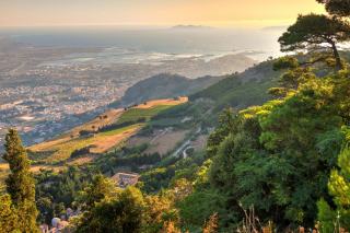 Côtes de Provence Fréjus : une dénomination marquée par les roches de l’Estérel