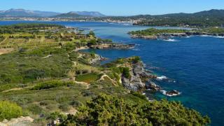 Le château de Léoube à Bormes-les-Mimosas, un domaine entre vignes, oliviers et rivage