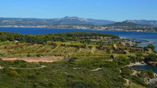 La Londe, la dénomination des Côtes de Provence tournée vers les îles d’Hyères