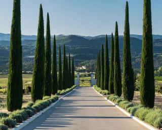 L’appellation Côtes de Provence, du pays d’Aix au golfe de Fréjus
